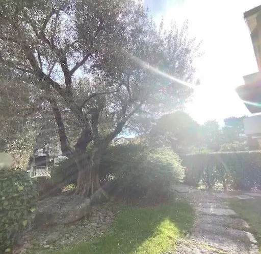 Zen House Apartment *